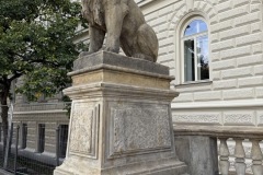 IMG_6971